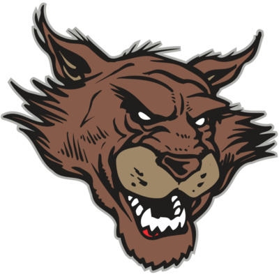 AR WILDCAT 11 RC Thumbnail