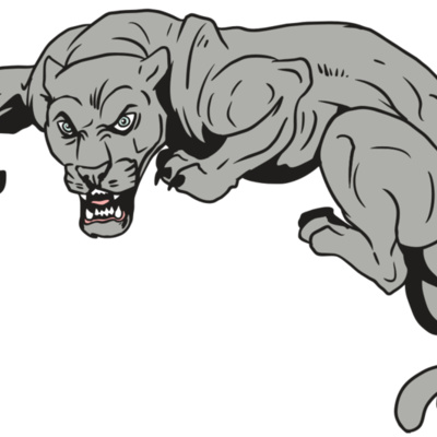 AR10 PANTHER 02 RQC Thumbnail