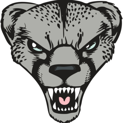 BAW CHEETAH 15 RC Thumbnail