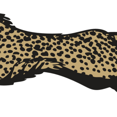 BAW CHEETAH 01 RC Thumbnail