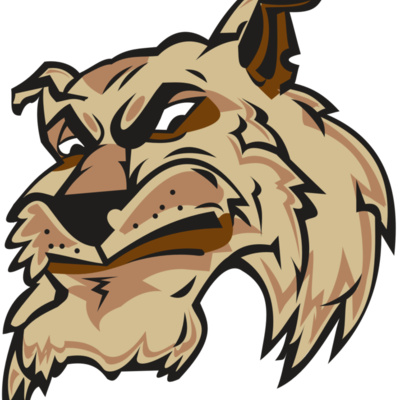 WILDCAT HD0501 RQC Thumbnail