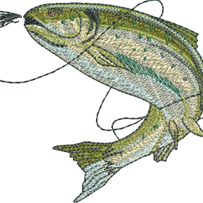 RC681 Thumbnail