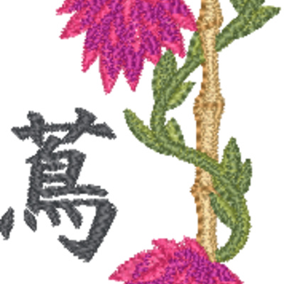 FP329 Thumbnail