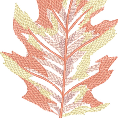 FP051 Thumbnail