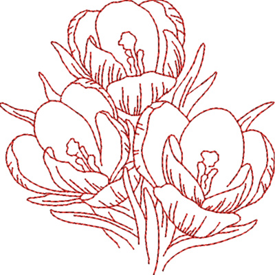 FP161 Thumbnail