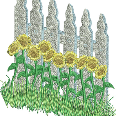 FP209 Thumbnail