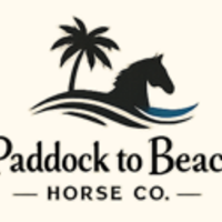 PaddocktoBeachHorseCo Thumbnail